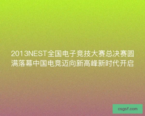 2013NEST全国电子竞技大赛总决赛圆满落幕中国电竞迈向新高峰新时代开启