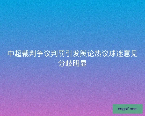 中超裁判争议判罚引发舆论热议球迷意见分歧明显